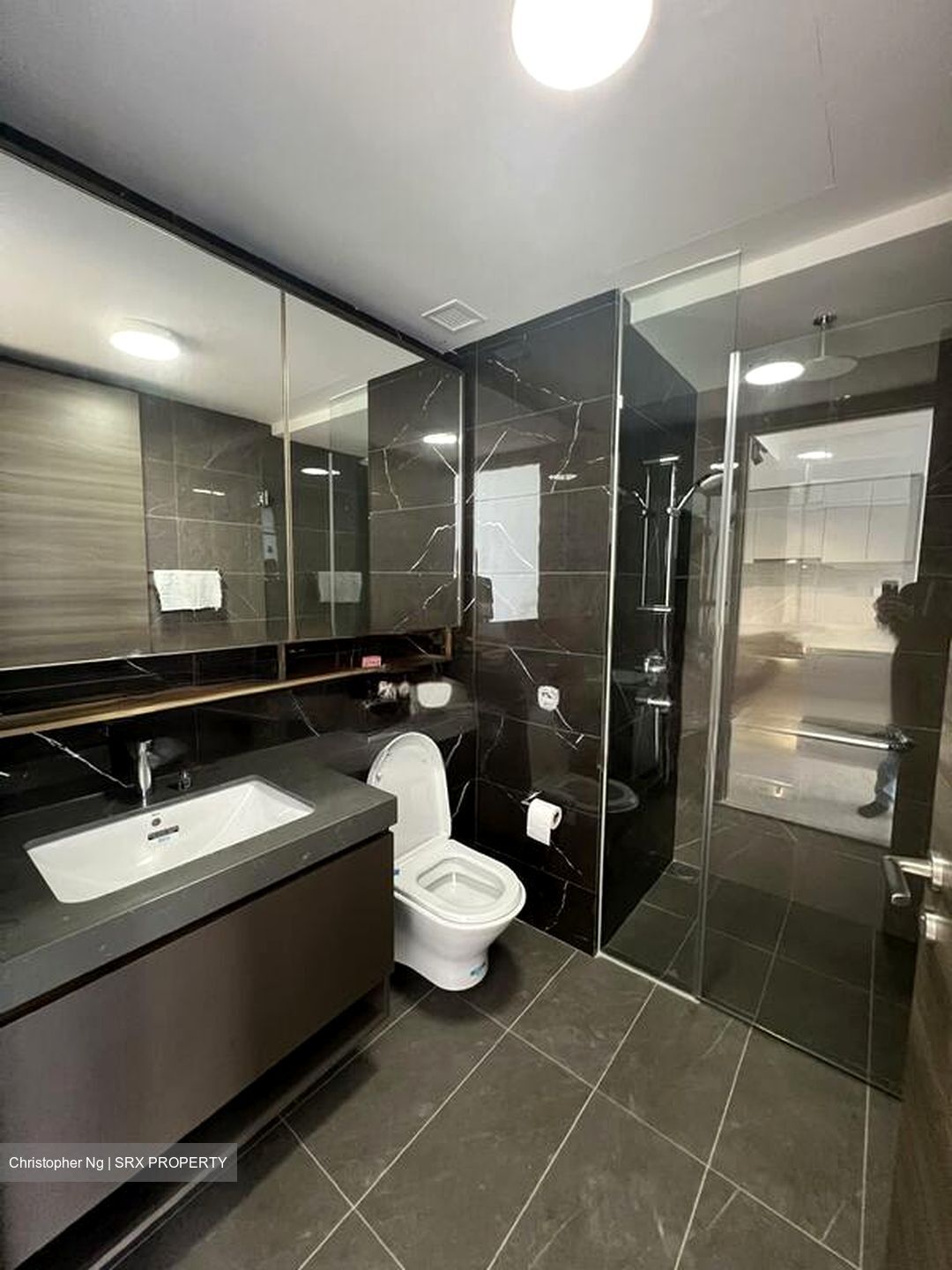 The Florence Residences (D19), Apartment #451327061